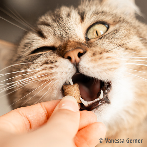 MAC's Cat Shakery Snacks Anti-Hairball 60g