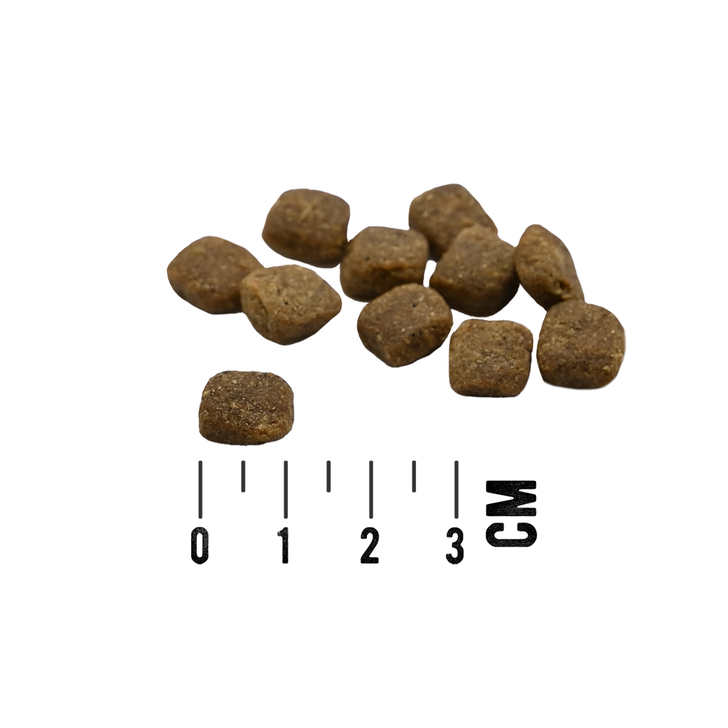 MAC's Dog Mono Soft - Frisches Lamm 4kg