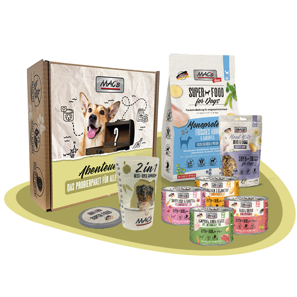Abenteuerbox MAC´s Hund
