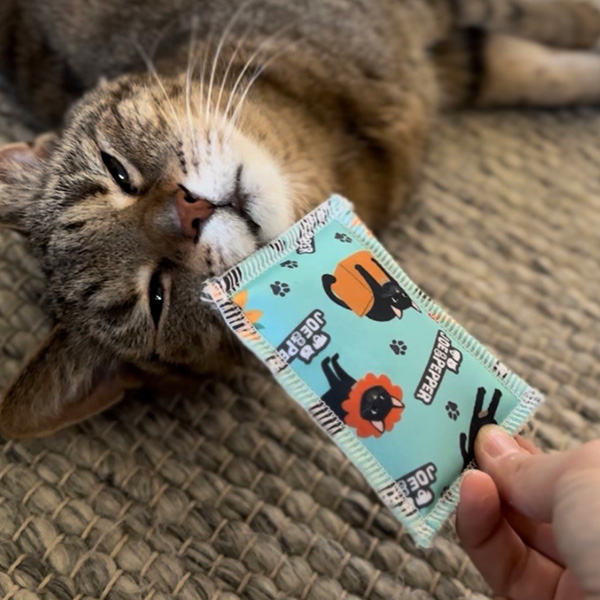 Katzen-Schmusekissen Joe & Pepper