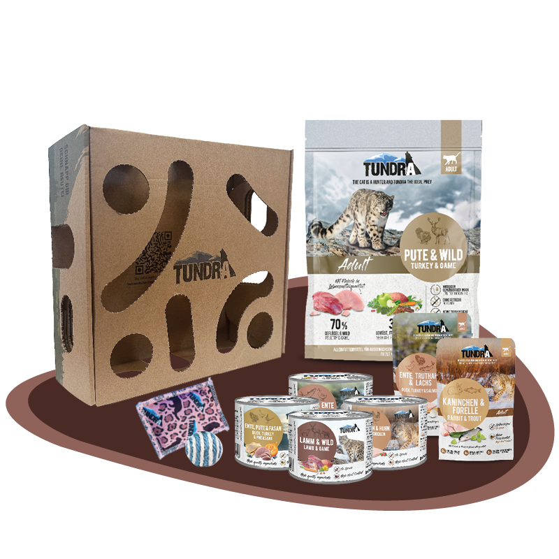 Beutebox Tundra Katze