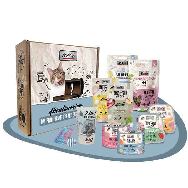 Abenteuerbox MAC´s Katze nass