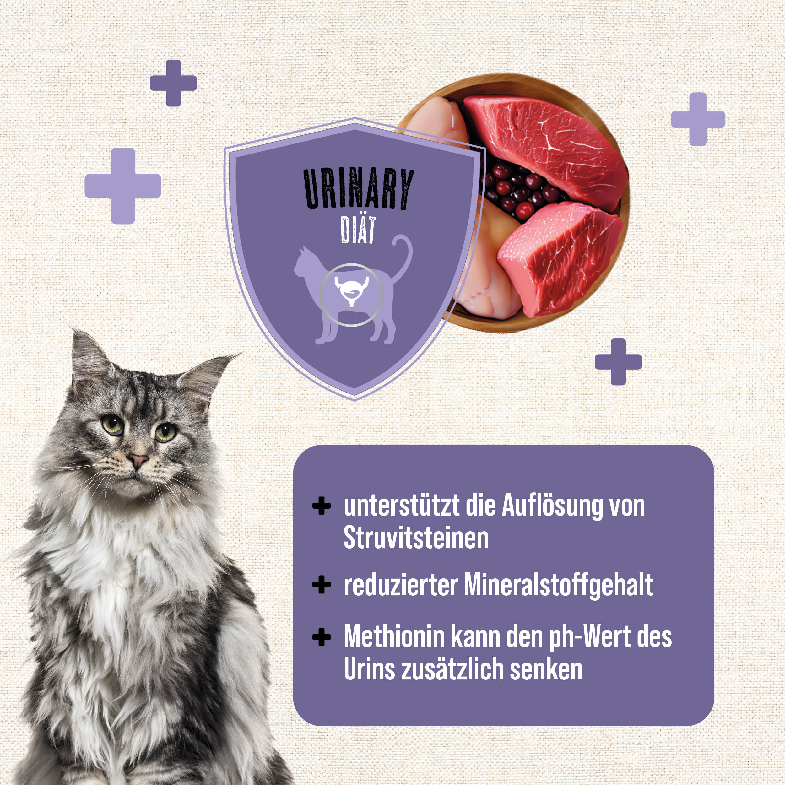 MAC's Cat Vetcare Urinary Rind & Pute 200g