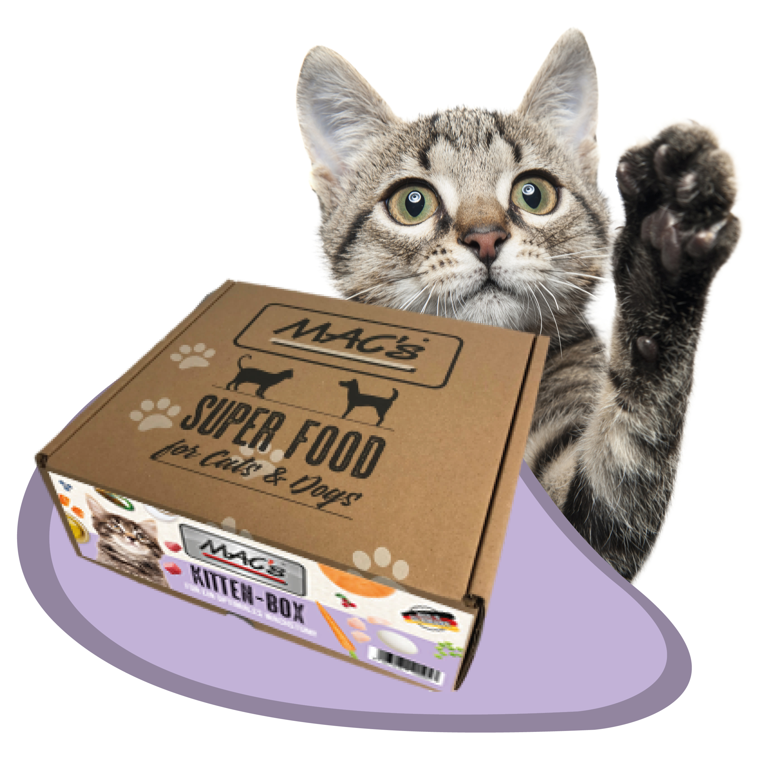 MAC's Cat Kitten-Box