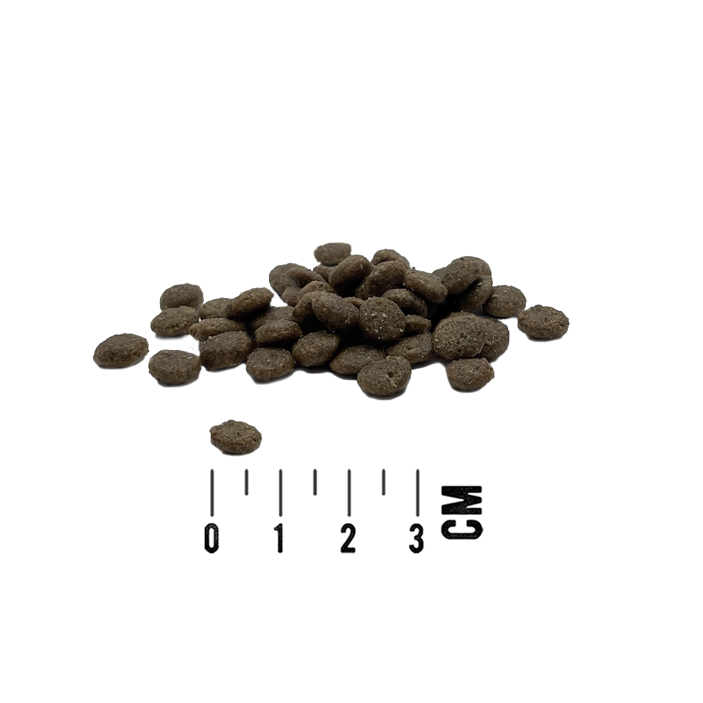 Tundra Dog Atlantik Lachs 11,34kg