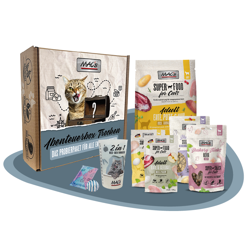 Abenteuerbox Mac´s Katze trocken