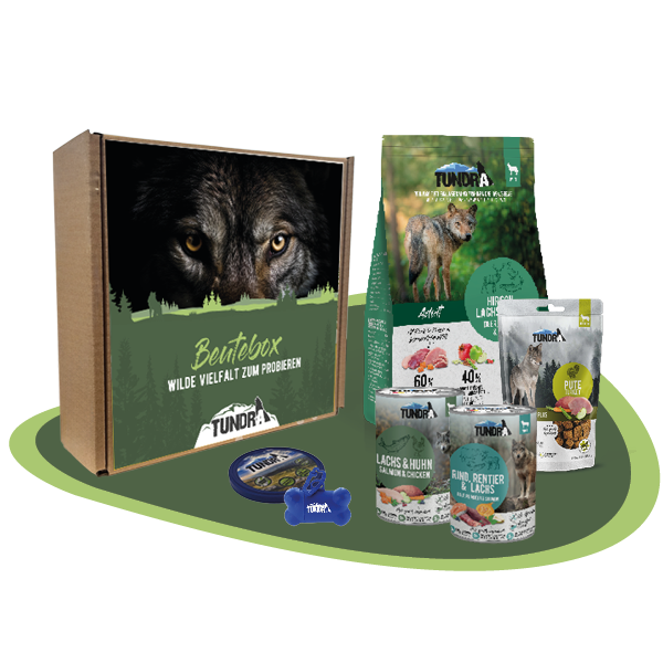 Beutebox Tundra Hund