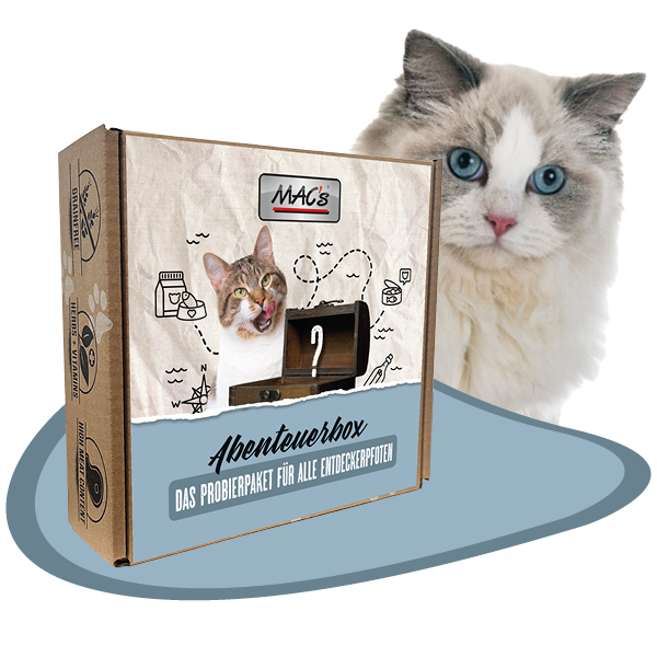 Abenteuerbox MAC´s Katze nass