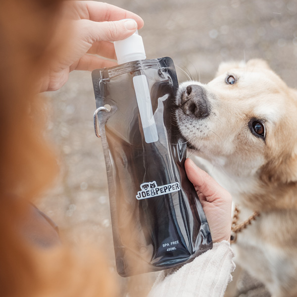 Faltbare Wasserflasche Joe & Pepper