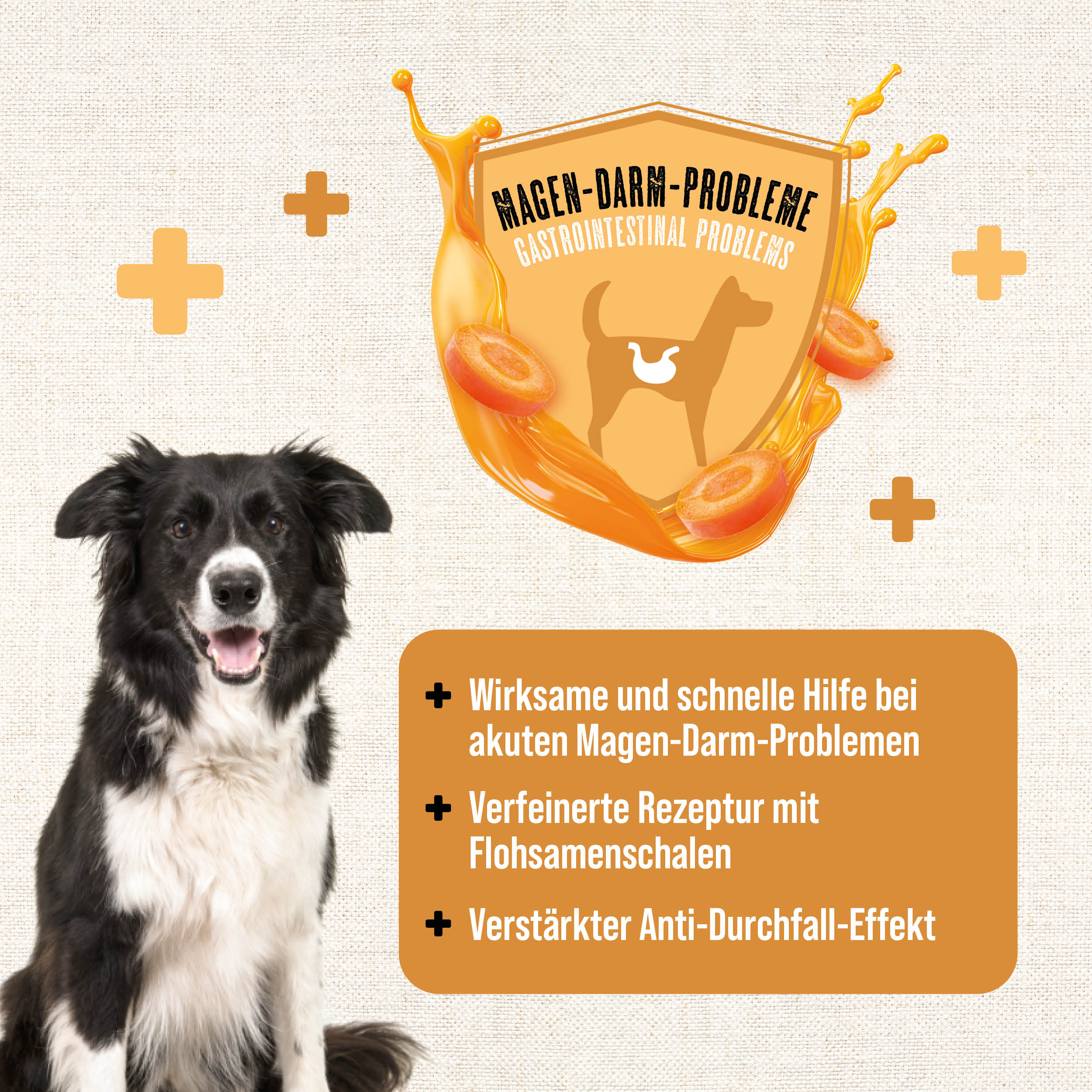 MAC's Dog Vetcare Moro'sche Karottensuppe 400g