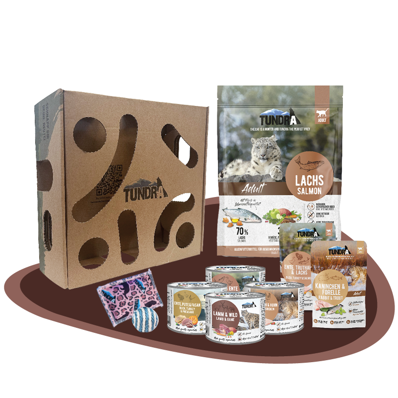 Beutebox Tundra Katze