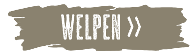 Button Welpen