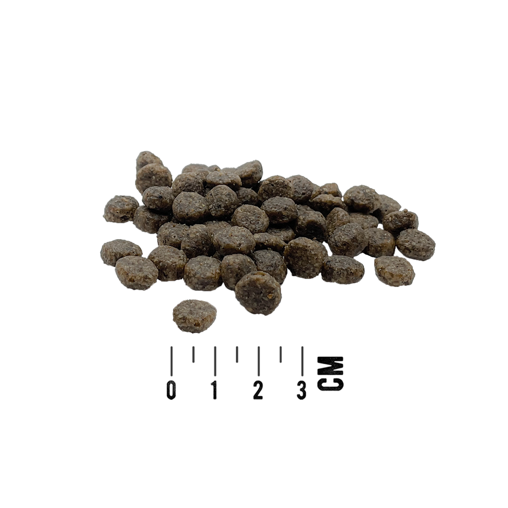 MAC's Dog Mono Mini Adult Lamm 3kg