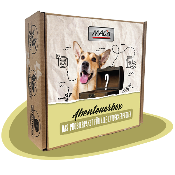 Abenteuerbox MAC´s Hund