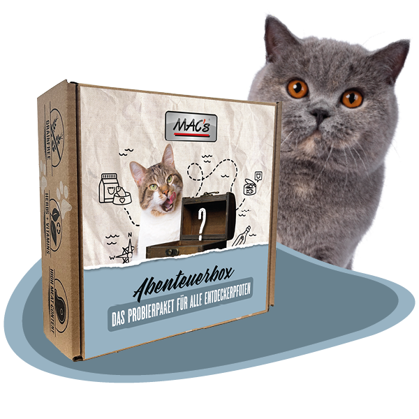 Abenteuerbox Mac´s Katze trocken