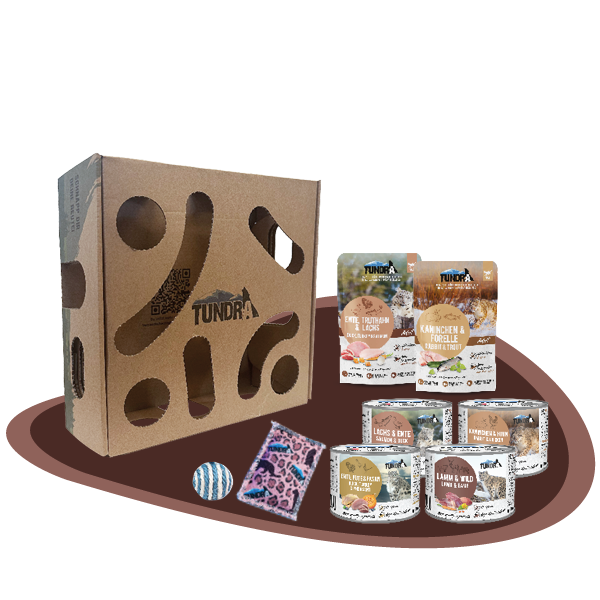 Beutebox Tundra Katze