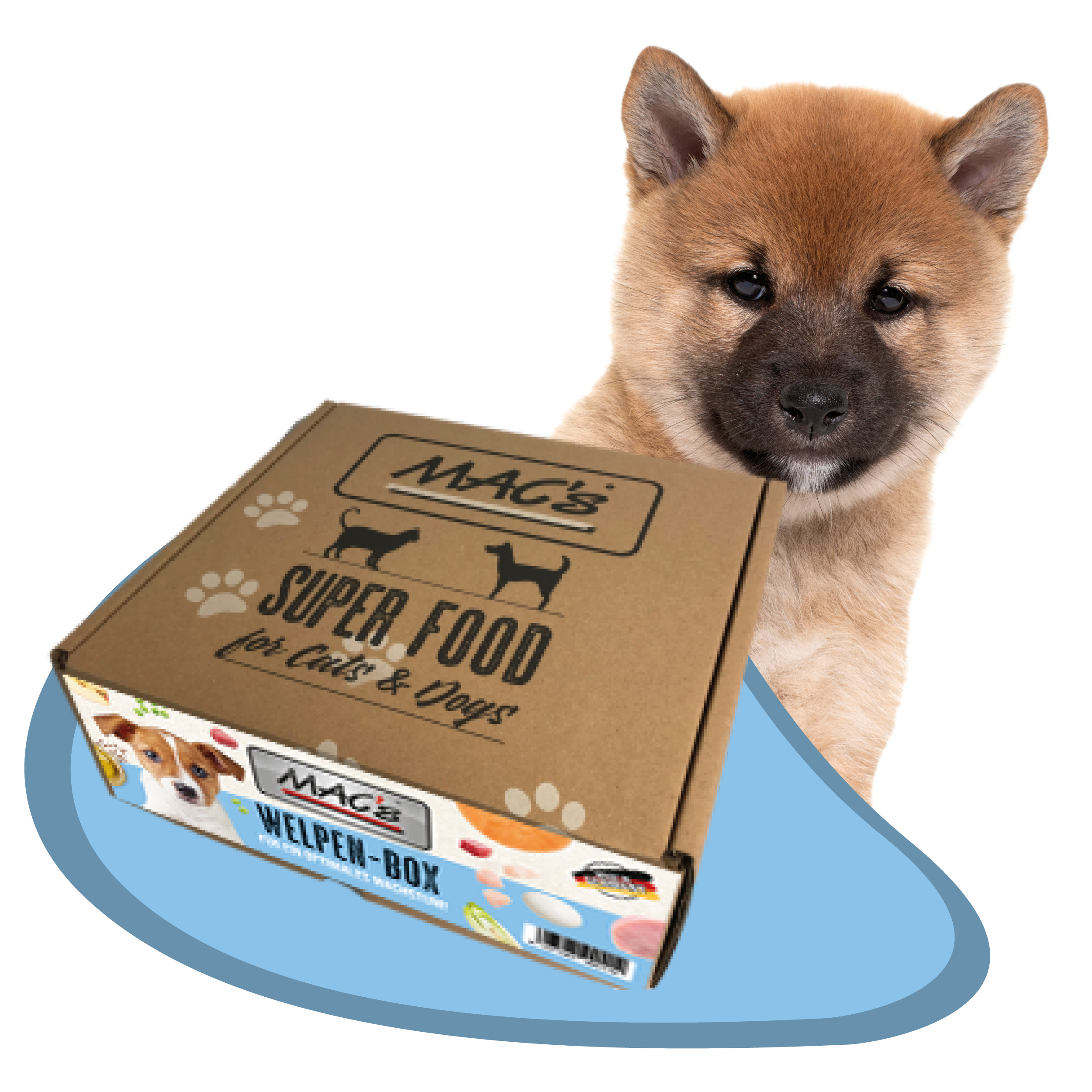 MAC's Puppy Welpen-Box