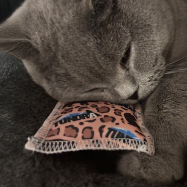 Katzen-Schmusekissen Tundra