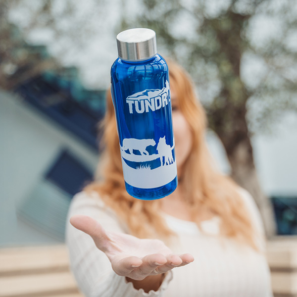 Trinkflasche Tundra 500ml
