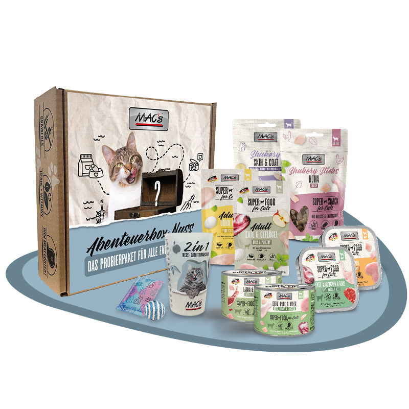 Abenteuerbox MAC´s Katze nass