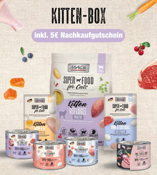 MACs Cat Kitten-Box